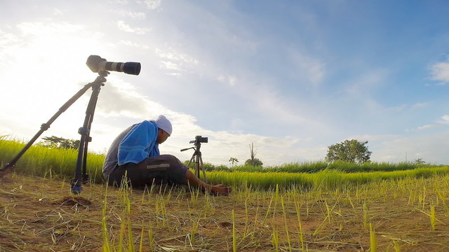 Photographer in nature landscape , green rice farm in Thailand 