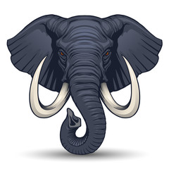 Naklejka premium Elephant head