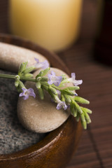 essential oil and lavender flowers