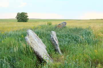 Large stones standing on the green plain