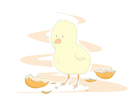 Cute Chick, a hand drawn vector illustration of a cute, newly-hatched chick for your project needs. some objects are on their own separate groups for easy editing.