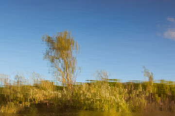 Fototapeta premium Abstract landscape reflected in water