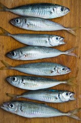 raw fish (scad) lies on a wooden board