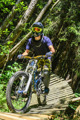 verwegener Mountainbiker im Wald - obrazy, fototapety, plakaty