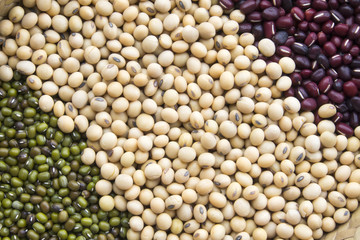 top view of green beans,soy beans and red beans