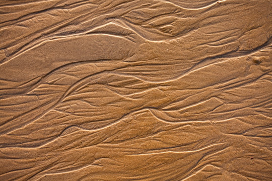 The texture of wet sea sand