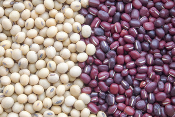 soy beans and red beans