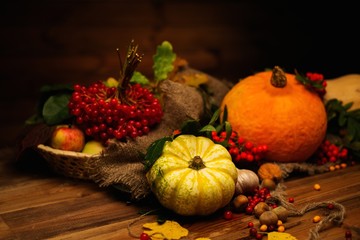 Thanksgiving day autumnal still life