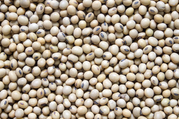 soy beans