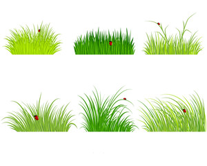 Green grass set