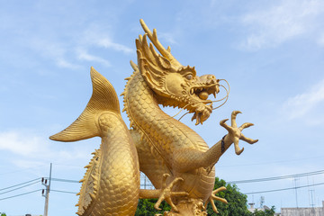 Fototapeta na wymiar Golden dragon statue at Phuket , Thailand