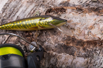 fishing bait wobbler and reel with line on birch