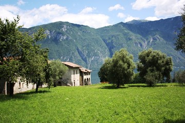 Green meadow under blue sky in summer in Bellagio at Lake Como in Lombardy Italy