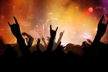 Fototapeta premium concert foule public musique live spectacle fan