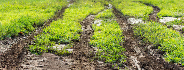 Tire track tractors on the field © kurapy