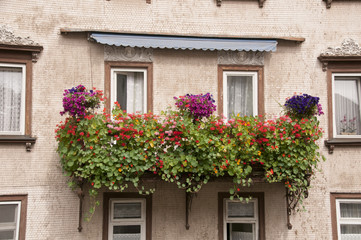 Fototapeta na wymiar Blumen am Balkon