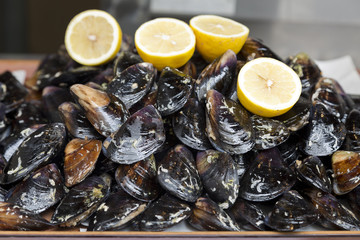 Oysters with lemons in the shop window