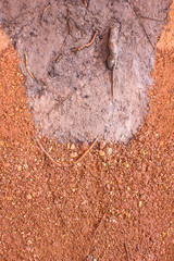 Rooted in the soil pattern background