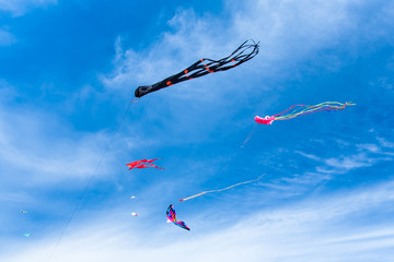 Various kites flying on the sky