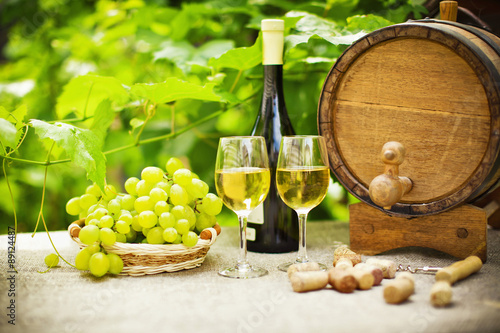 Вино бочки виноград скачать