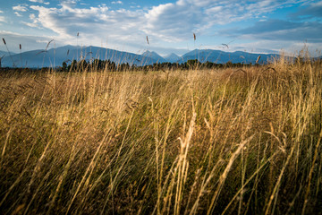 Fototapeta premium Panorama landscape