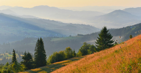 Fototapeta premium Morning countryside