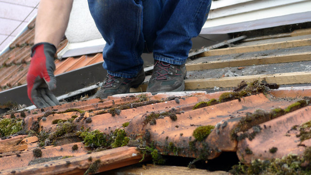 cis4 CraftsmanImageSeries - Roofer with broken bricks  - german Dachdecker mit kaputten Ziegeln - 16to9 g3861