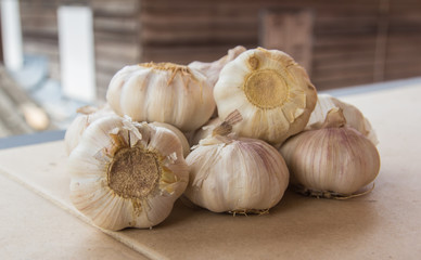 close up of garlic on market