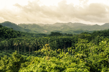 view of mountain with fog in raining season,form balcony at Surat Thani, Thailand