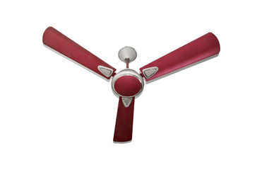 Ceiling fan
