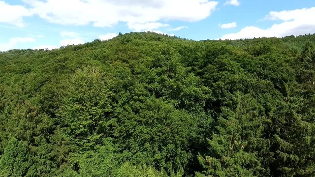 Wald Drohnenflug