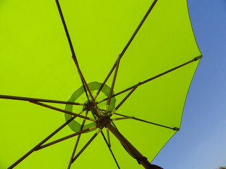 green parasol