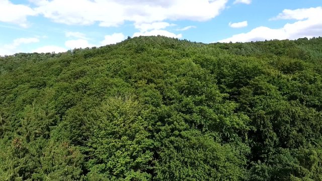 Wald Drohnenflug