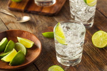 Alcoholic Gin and Tonic