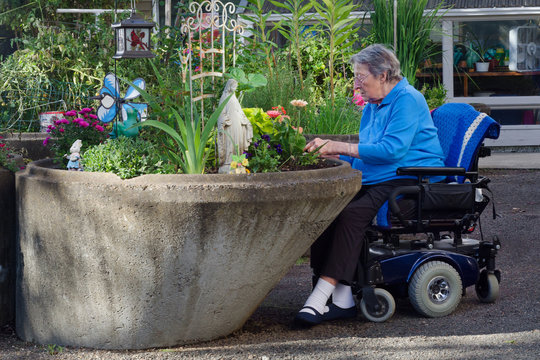 Assisted Living Gardener