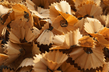 Pencils and pencil shavings