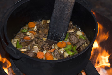 Campfire Stew
