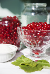 Berries on the table