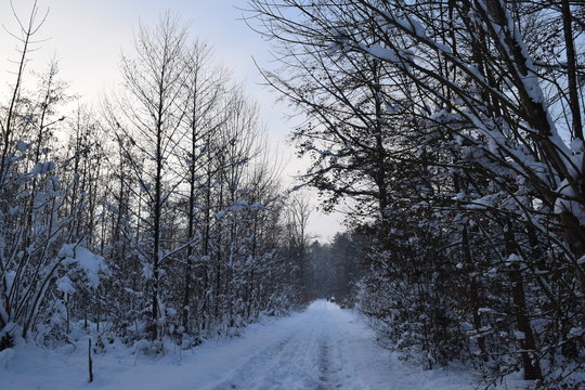 Winterbild im Land