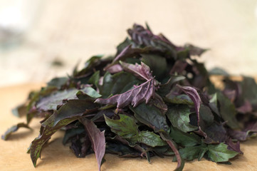 purple basil