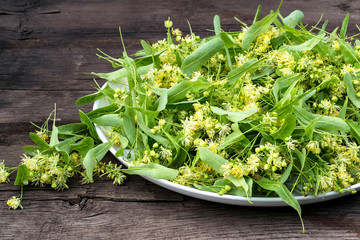 Herbal medicine: linden flowers collected for drying