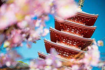 Keuken spatwand met foto Tokyo City - Sensoji-ji Temple - Asakusa district, Japan, Asia © dell