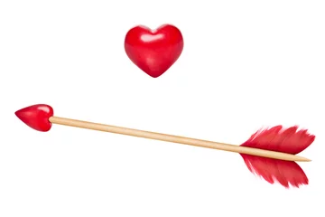 Voile Gardinen Lustiger Hund Cupid's arrows with heart