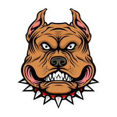 Vector illustration of a angry pitbull dog head