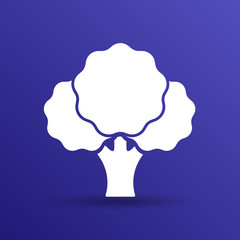 Broccoli abstract isolated on a white backgrounds