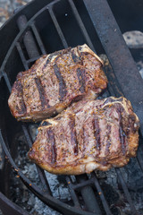 Camp Food