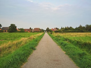 Road