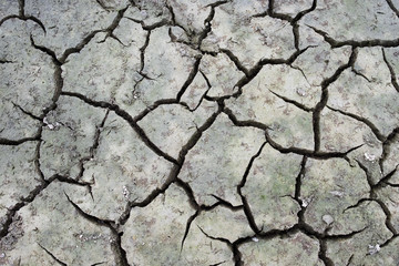 texture of the crackled dry clay