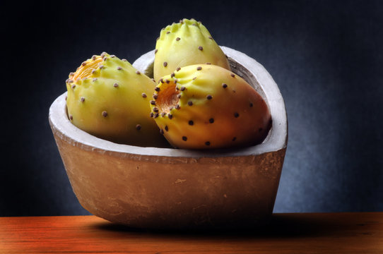 Opuntia ficus-indica Ficu d'Innia Fikonkaktus Fico d'India Chumbera Hint inciri Figueira da India تين شوكي Опунция индийская צבר מצוי Prickly pear &Phi;&rho;&alpha;&gamma;&kappa;&omicron;&sigma;&upsilon;&kappa;&iota;ά Figuier de Barbarie Viikunaopuntia 