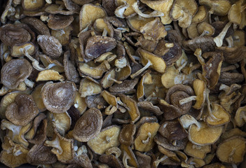 shiitake mushrooms